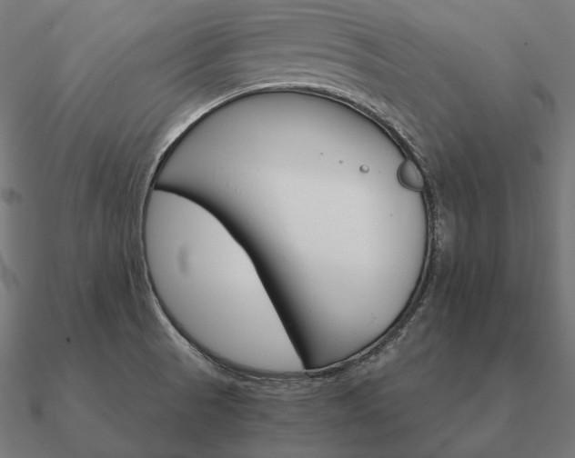 X0000090911521200708061513