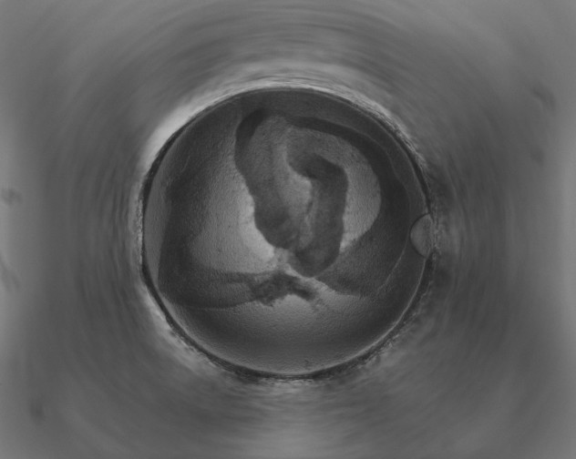 X0000090911522200708061513