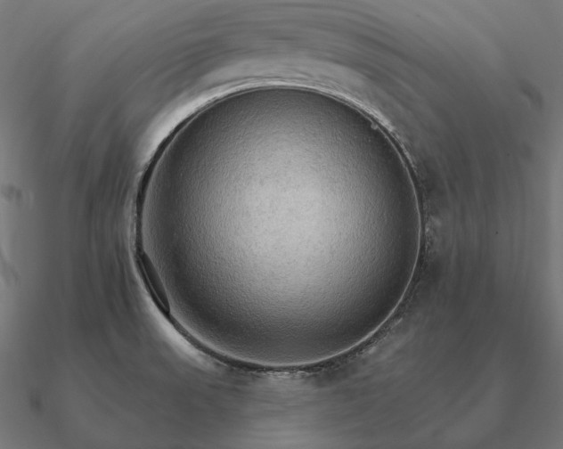 X0000090911523200708061513