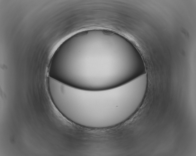 X0000090911524200708061513