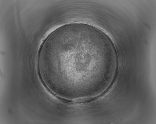 X0000090911525200708061513