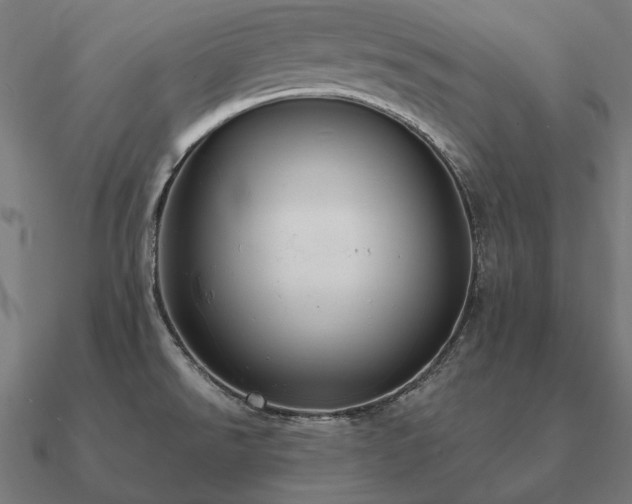 X0000090911526200708061513