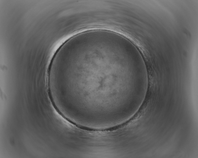 X0000090911527200708061513