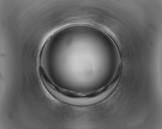 X0000090911528200708061513