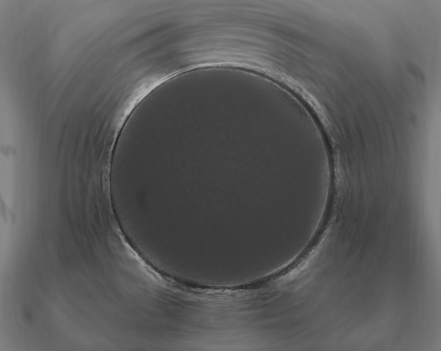 X0000090911529200708061513