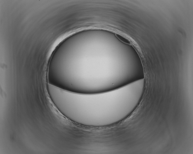 X0000090911530200708061513