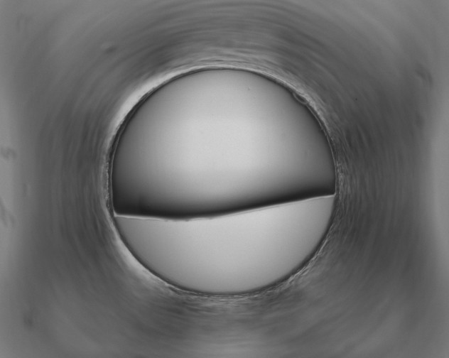 X0000090911531200708061513