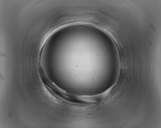 X0000090911532200708061513