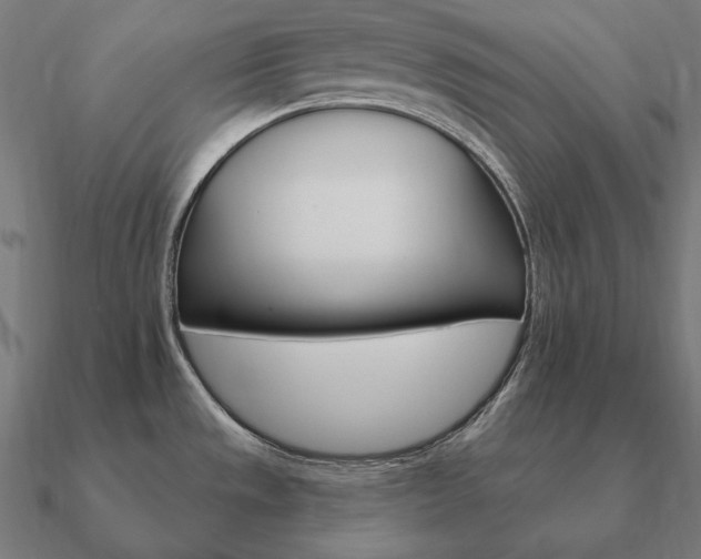 X0000090911533200708061513