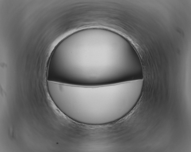 X0000090911534200708061513