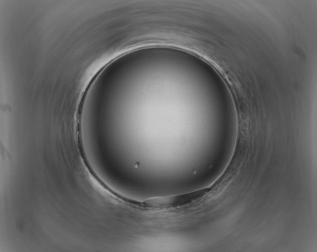 X0000090911535200708061513