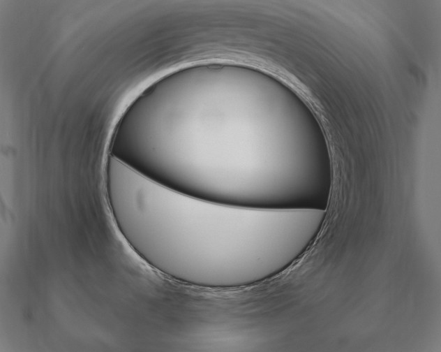 X0000090911536200708061513