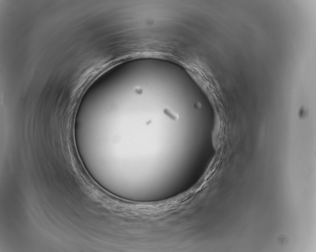 X0000090910001200708131421