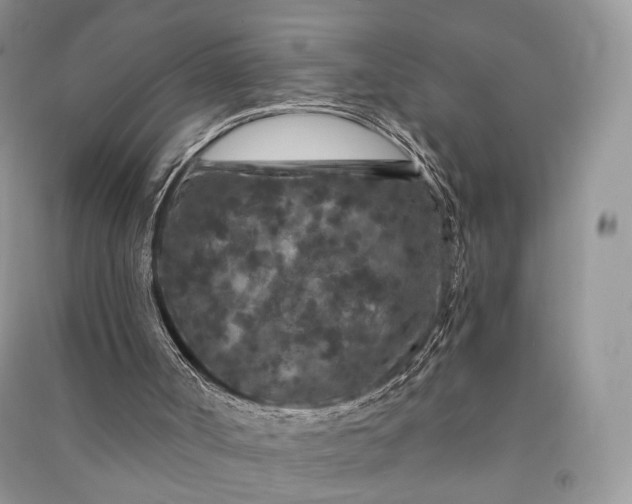 X0000090910002200708131421