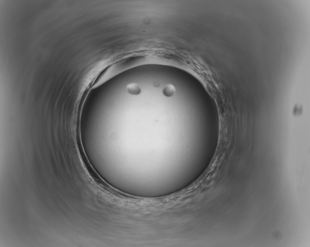 X0000090910003200708131421