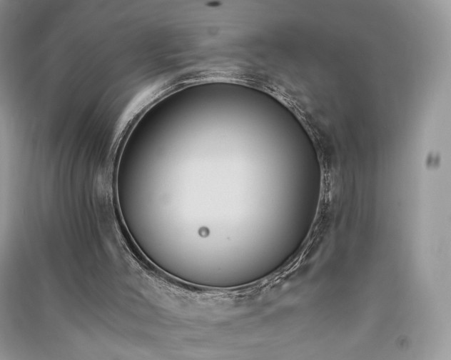 X0000090910004200708131421