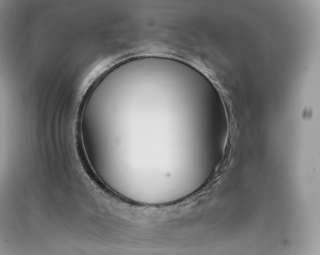 X0000090910007200708131421