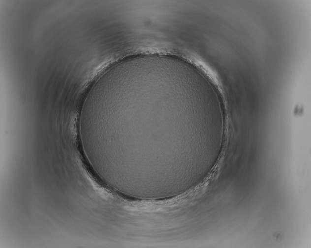 X0000090910009200708131421