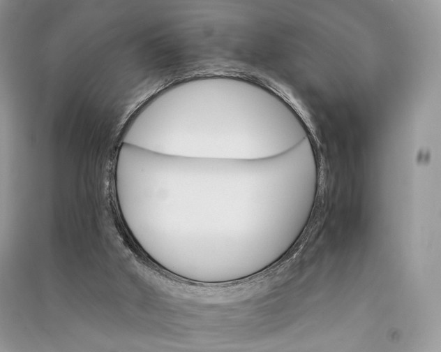 X0000090910010200708131421