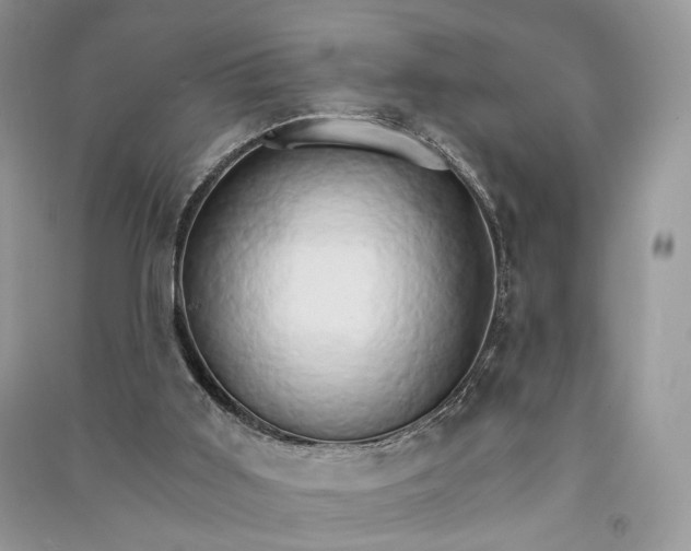 X0000090910011200708131421