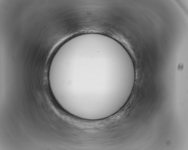 X0000090910012200708131421