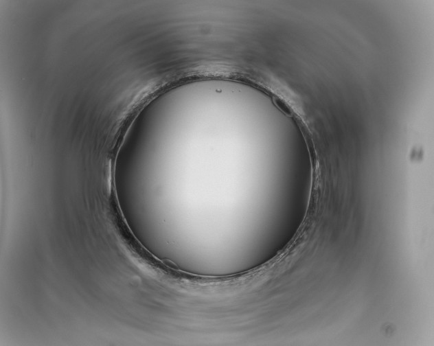 X0000090910013200708131421