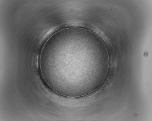 X0000090910014200708131421