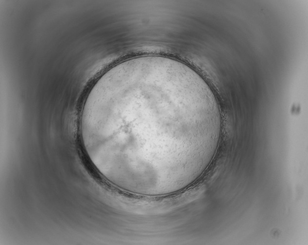 X0000090910016200708131421