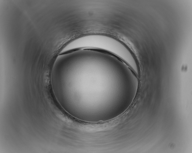 X0000090910017200708131421