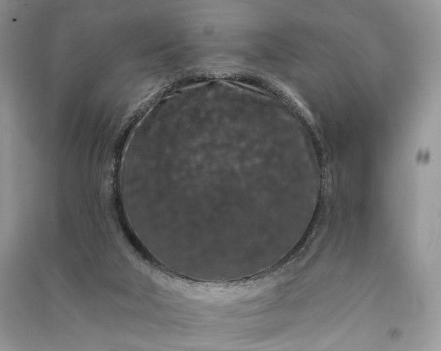 X0000090910018200708131421