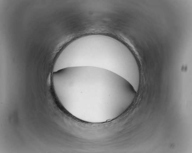 X0000090910019200708131421