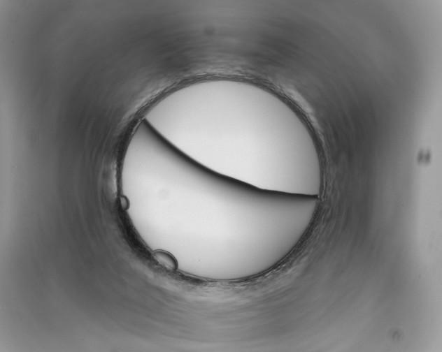 X0000090910020200708131421