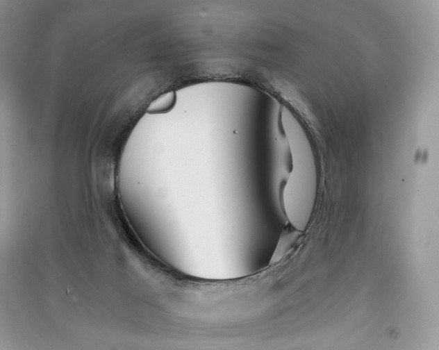 X0000090910021200708131421