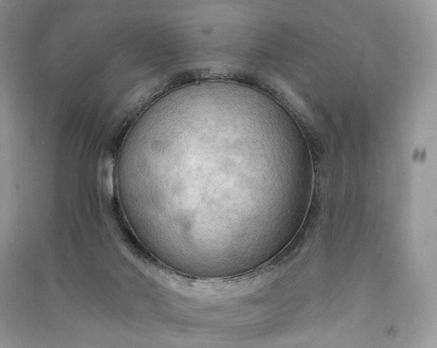 X0000090910022200708131421