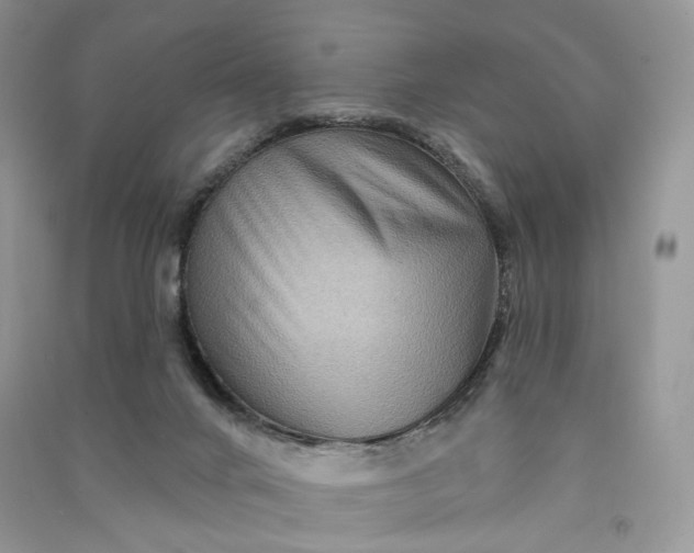 X0000090910024200708131421