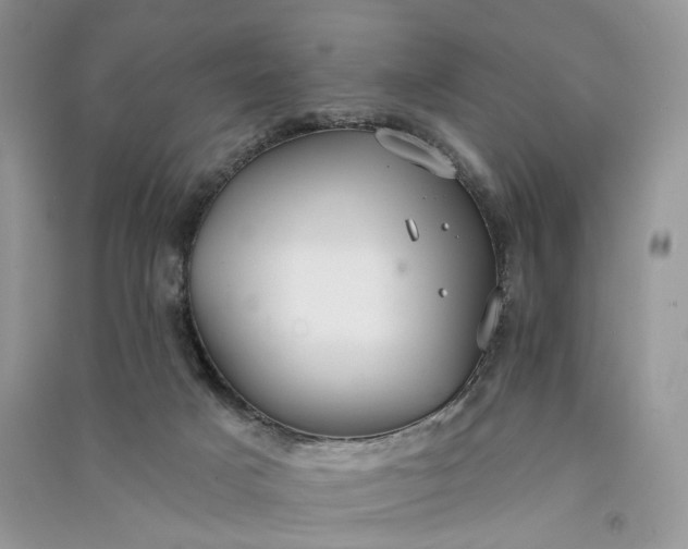 X0000090910025200708131421