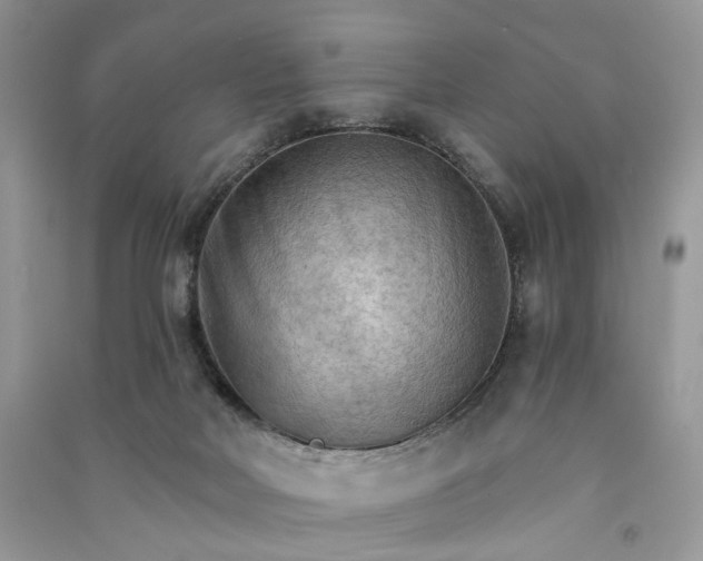 X0000090910026200708131421