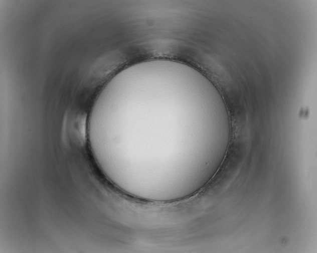 X0000090910028200708131421