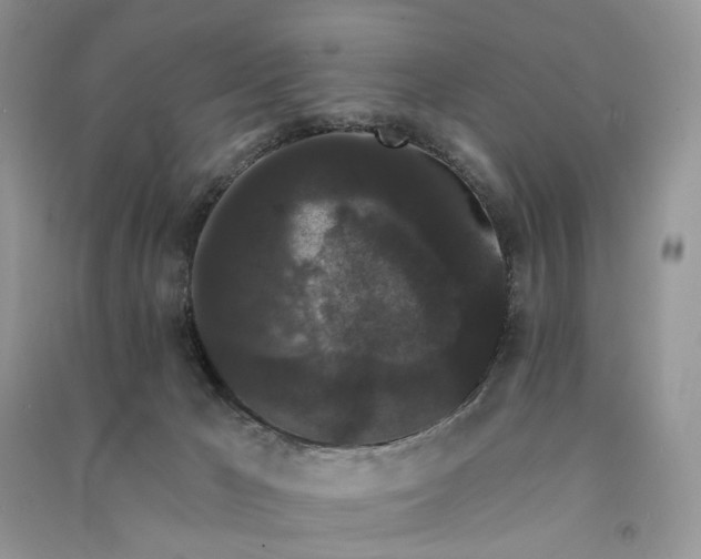 X0000090910029200708131421