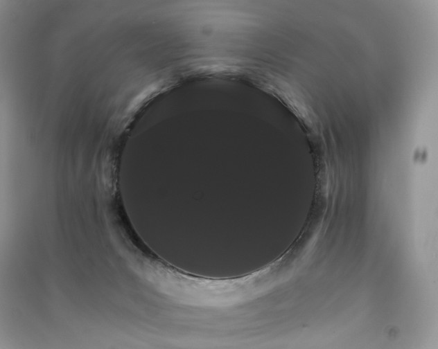 X0000090910031200708131421