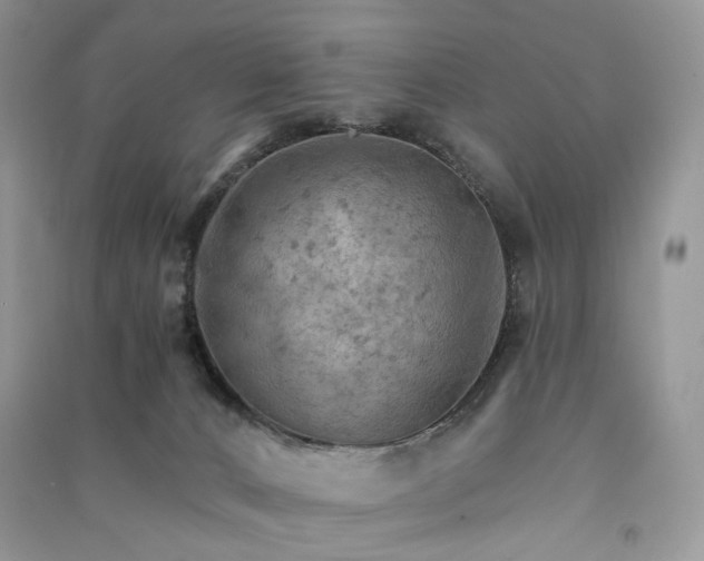 X0000090910032200708131421