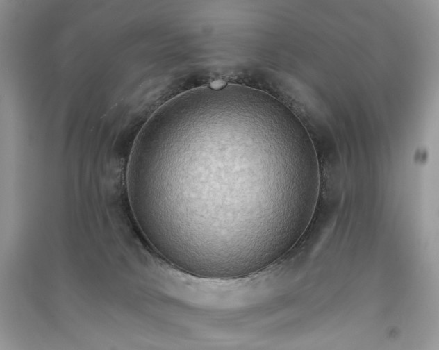 X0000090910034200708131421