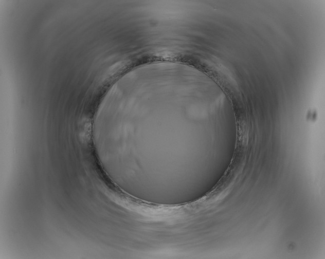 X0000090910036200708131421