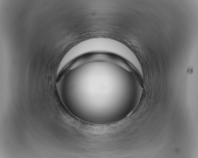 X0000090910037200708131421