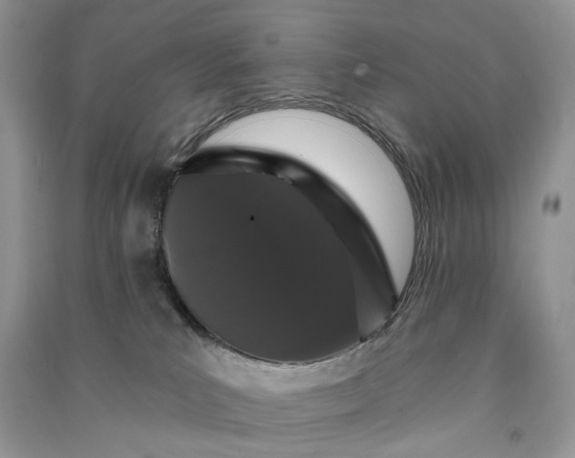 X0000090910039200708131421