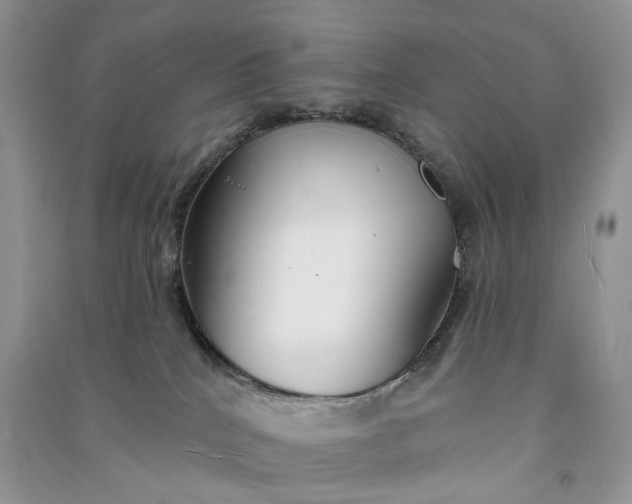 X0000090910040200708131421