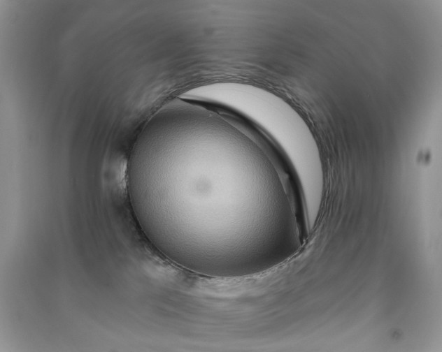 X0000090910041200708131421