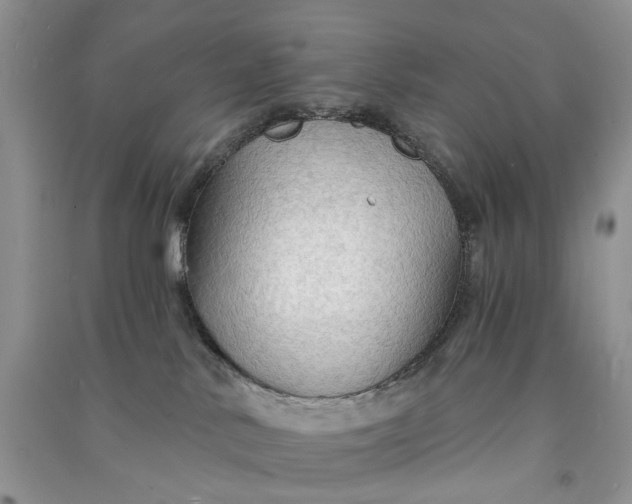 X0000090910042200708131421