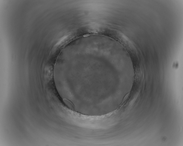 X0000090910043200708131421