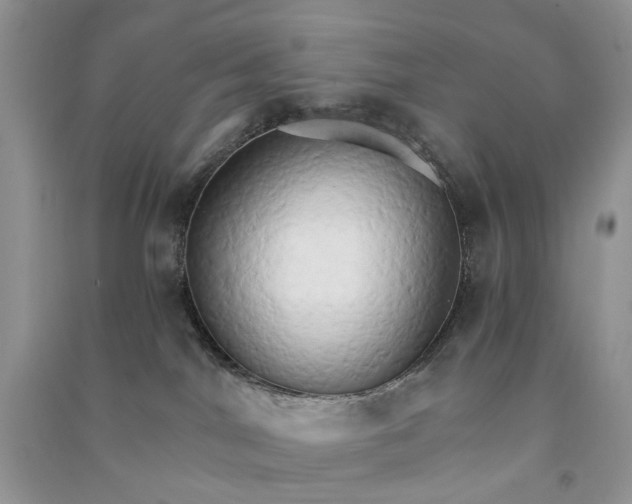 X0000090910044200708131421